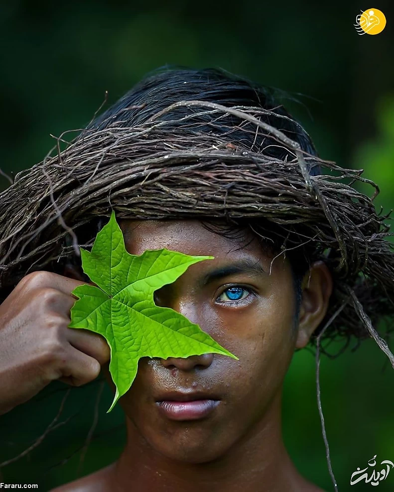 (تصاویر) (تصاویر)